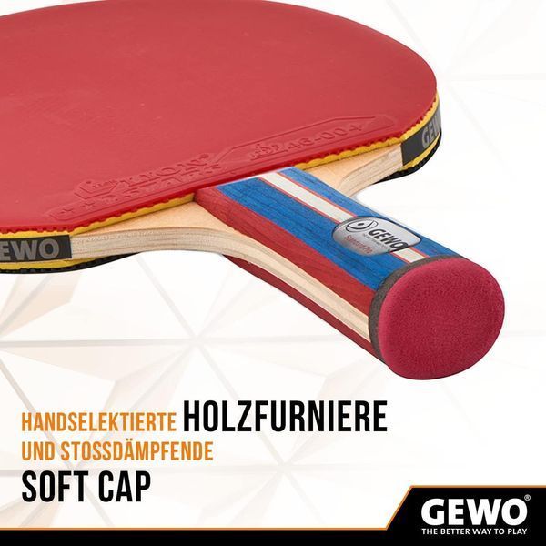 Ракетка для настільного тенісу Gewo Standard Pro FL (600300001) 931331 фото