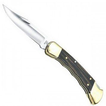 Складной нож Buck Folding Hunter (110BRSFGB) 110BRSFGB фото