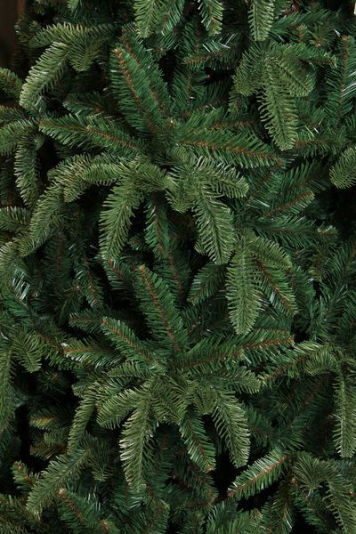 Ель 2,30 м Abies Nordmann de Luxe зеленая 8711473890211 фото