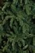 Ель 2,30 м Abies Nordmann de Luxe зеленая 8711473890211 фото 4