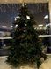 Ель 2,30 м Abies Nordmann de Luxe зеленая 8711473890211 фото 3