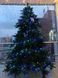 Ель 2,30 м Abies Nordmann de Luxe зеленая 8711473890211 фото 2
