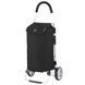 Сумка-візок ShoppingCruiser Foldable 45 Black (604320) 927297 фото 1