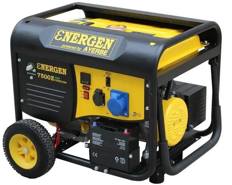 Газовий електрогенератор Ayerbe ENERGEN 7500 DUAL EN7500E GAS фото