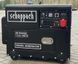 Генератор дизельний Scheppach DGS 5500 Black Edition DGS5500 фото 4