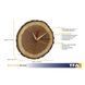 Настінний годинник TFA "Tree-o-Clock" (60304608) 60304608 фото 2