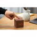 Будильник на акумуляторі Cube Gingko (Англія), дерево горіх (G028WT) G028WT фото 4