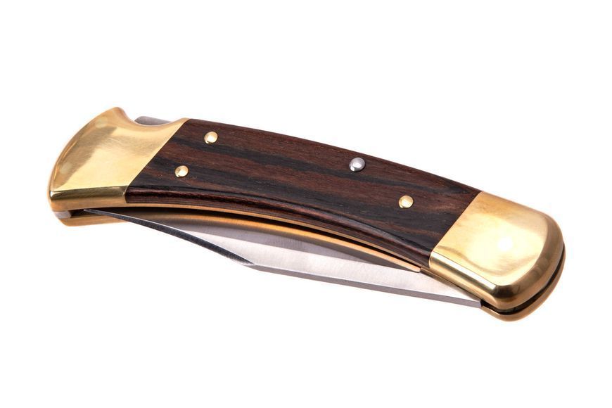 Нож Buck "Folding Hunter" (110BRSB) 110BRSB фото