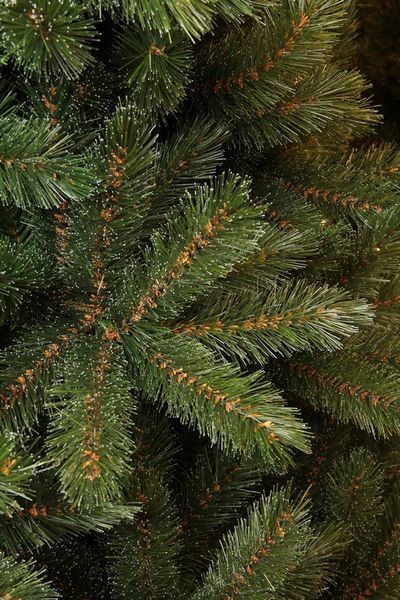 Сосна 305 см с инеем, Forest Frosted 8711473151534 фото