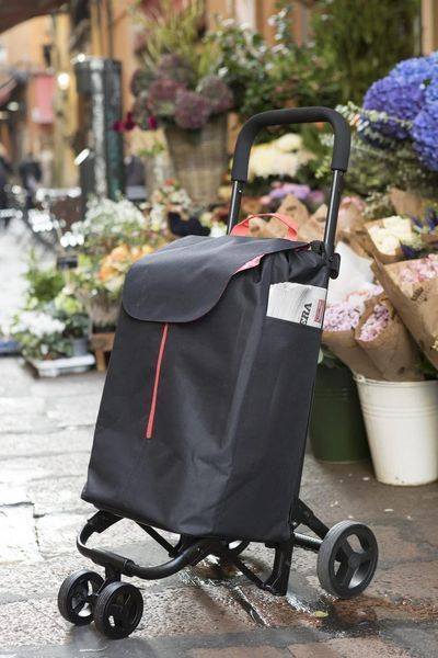 Сумка-візок Gimi Twin Black (169325) 929456 фото