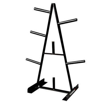 Стійка для дисків Toorx Rack 25 mm (RPD-25) 931146 фото