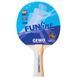 Набір для настільного тенісу Gewo Family & Friends 4 Bats 8 Balls (97010000) 931052 фото 4