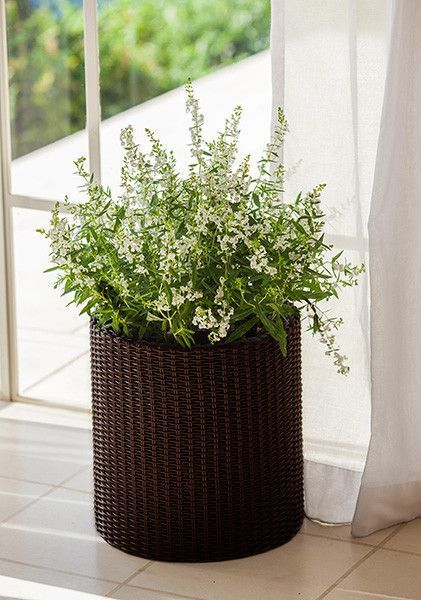 Горшок для цветов Keter Cylinder Planter Medium, 18 л, коричневый 7290103664190 фото