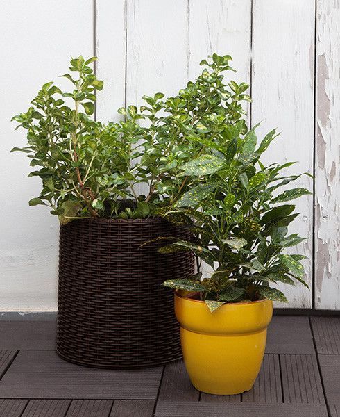 Горшок для цветов Keter Cylinder Planter Medium, 18 л, коричневый 7290103664190 фото