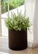 Горшок для цветов Keter Cylinder Planter Medium, 18 л, коричневый 7290103664190 фото 2