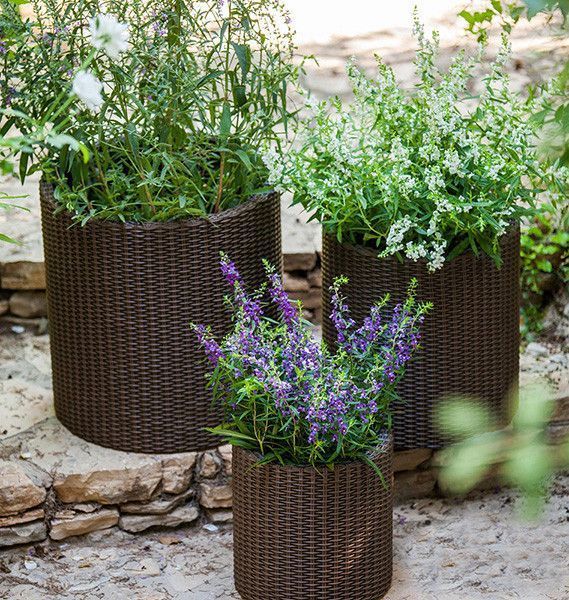 Горшок для цветов Keter Cylinder Planter Medium, 18 л, коричневый 7290103664190 фото