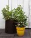 Горшок для цветов Keter Cylinder Planter Medium, 18 л, коричневый 7290103664190 фото 3