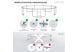 Батут Zipro Jump Pro Premium з внутрішньої сіткою 12 футів 374 см чорно-зелений 5907783039454 5907783039454 фото 4