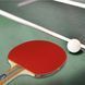 Набір для настільного тенісу Gewo Rave Speed 2 Bats 3 Balls (86080000) 931051 фото 6