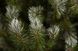 Сосна Pittsburgh 2,60 м зелена з ефектом покриття інеєм і шишками 8718861280371 фото 5