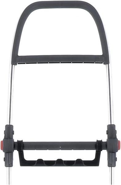 Сумка-візок Rolser Big Polar 2L Negro (BIG004-1023) 931703 фото