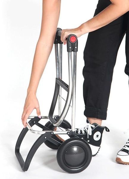 Сумка-візок Rolser Big Polar 2L Negro (BIG004-1023) 931703 фото