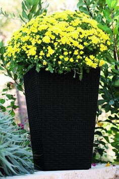 Горщик для рослин Keter Rattan Planter M, (medium) 55,4 л 7290103659271 фото