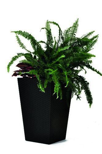 Горщик для рослин Keter Rattan Planter M, (medium) 55,4 л 7290103659271 фото