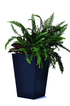 Горщик для рослин Keter Medium Rattan Planter серій 7290103659288 фото