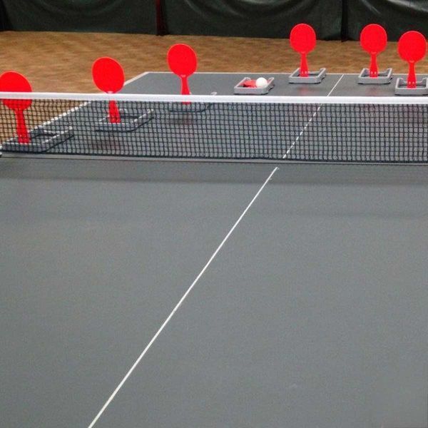 Тренувальний набір для настільного тенісу Gewo Flip-Paddle Set (109180000) 931316 фото