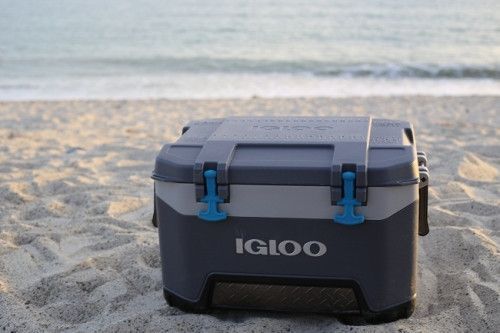 Изотермический контейнер Igloo BMX 52 342234978350 фото