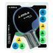 Набір для настільного тенісу Joola Colorato 2 Bats 8 Balls (54814) 930938 фото 2