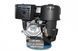Двигатель Grunwelt GW 460 FЕ-S 20066 фото 2