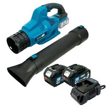 Аккумуляторная воздуходувка PROFI-TEC PLB5020BL POWERLine (2&times;PT2050HE (4.0 Ач), зарядное устройство) 005969P фото