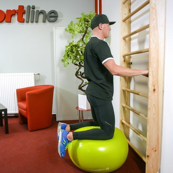 Шведська стіна inSPORTline Steadyline 200x90 cm 22516 фото